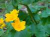 dsc06639_small.jpg