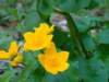 dsc06640_small.jpg