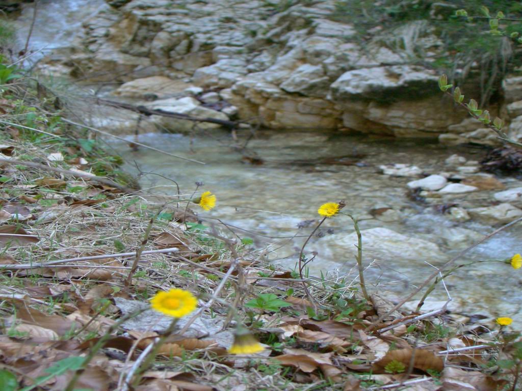 dsc06641.jpg