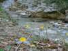 dsc06641_small.jpg