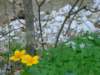 dsc06642_small.jpg