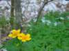 dsc06643_small.jpg