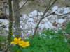 dsc06644_small.jpg