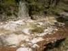 dsc06649_small.jpg