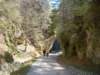 dsc06650_small.jpg