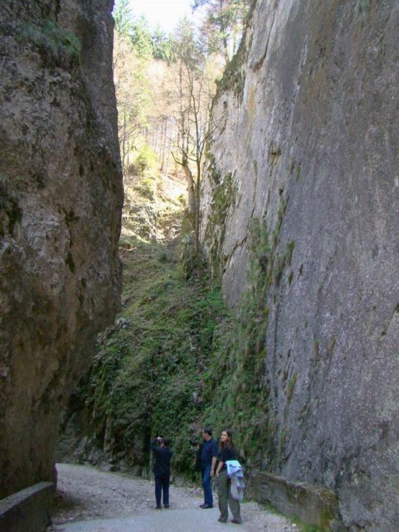 dsc06651.jpg