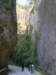 dsc06651_small.jpg