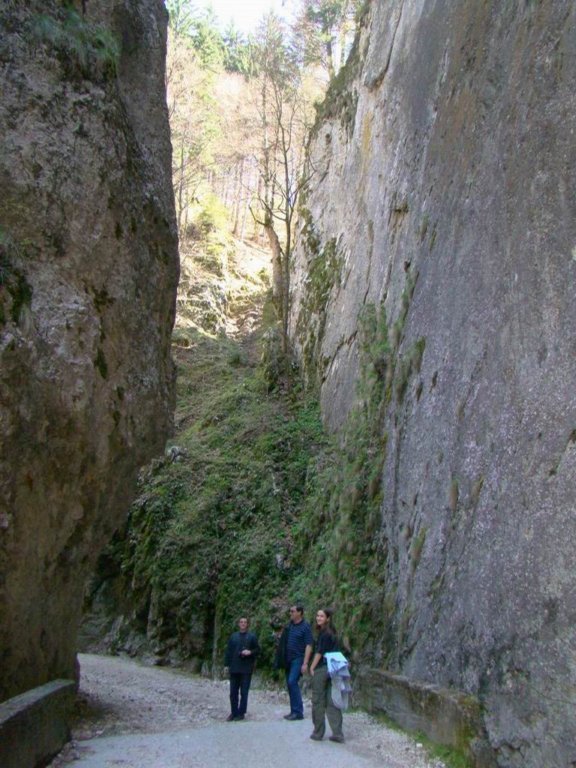 dsc06652.jpg