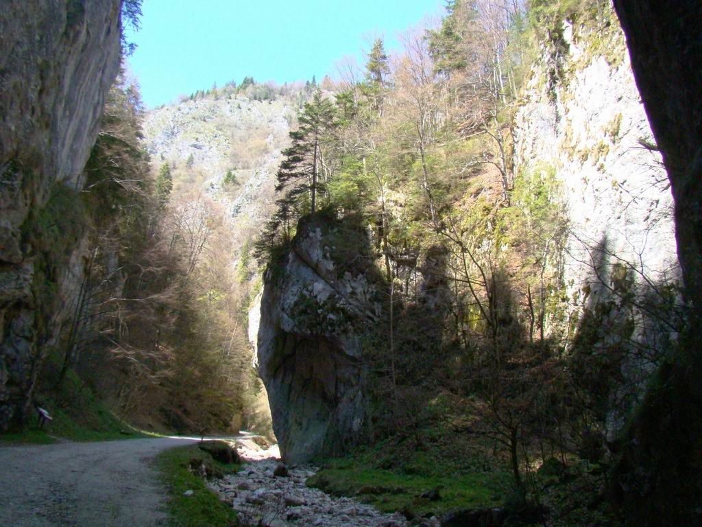 dsc06653.jpg
