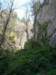 dsc06654_small.jpg