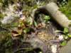 dsc06656_small.jpg