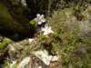 dsc06657_small.jpg