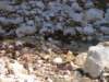 dsc06658_small.jpg