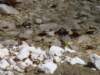 dsc06659_small.jpg