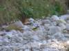 dsc06666_small.jpg