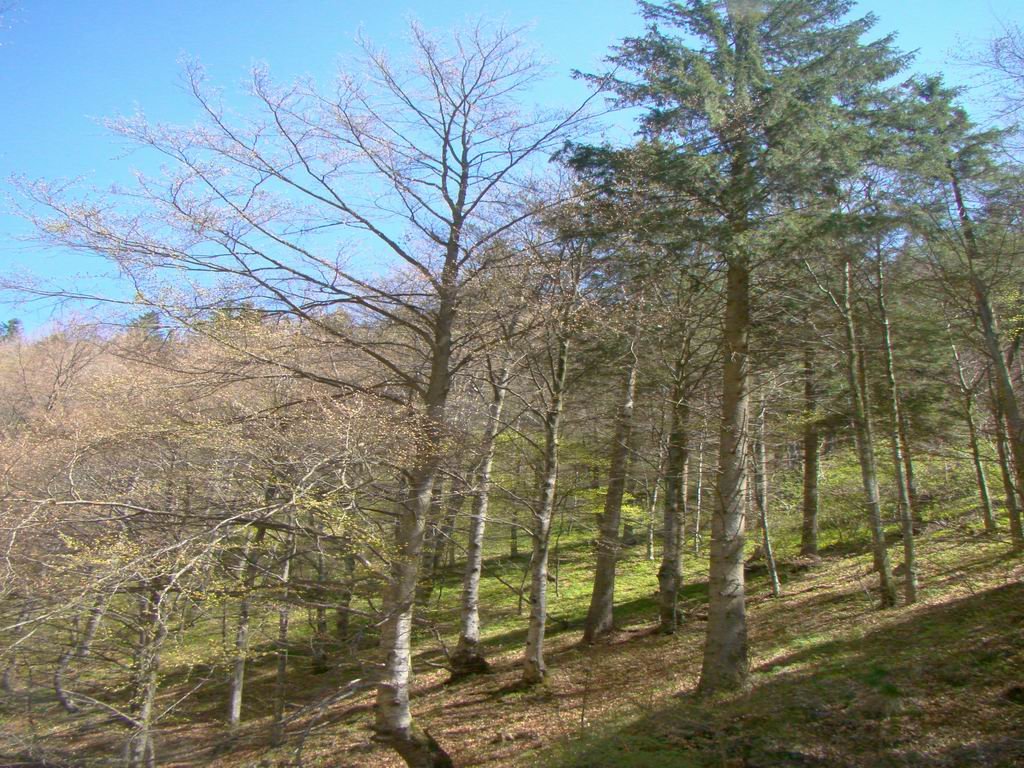 dsc06667.jpg