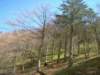 dsc06667_small.jpg