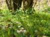dsc06668_small.jpg
