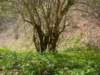 dsc06669_small.jpg