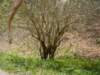 dsc06670_small.jpg