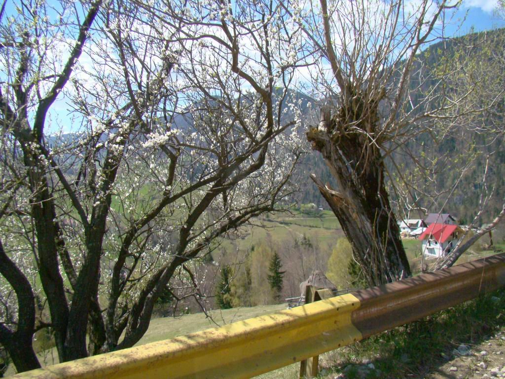 dsc06674.jpg