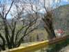 dsc06674_small.jpg
