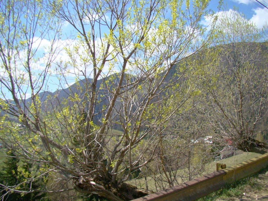 dsc06675.jpg