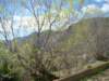 dsc06675_small.jpg