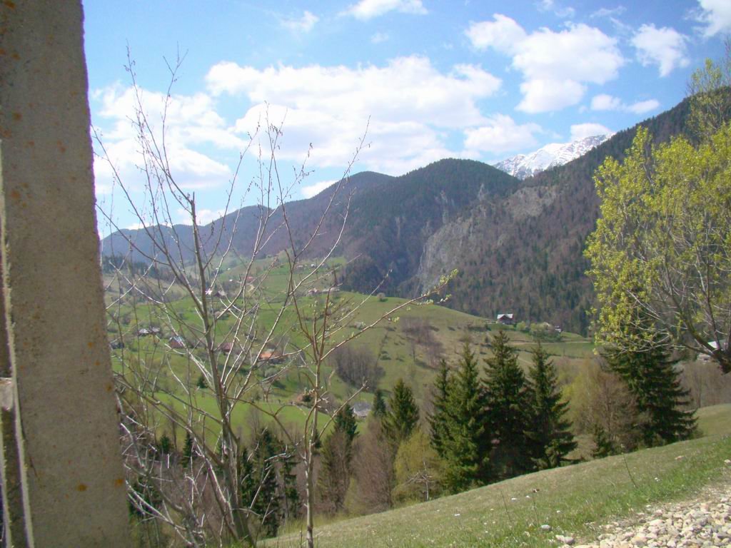 dsc06676.jpg
