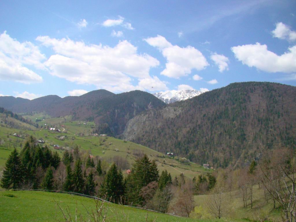 dsc06677.jpg