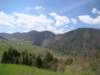 dsc06677_small.jpg