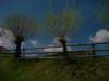 dsc06681_small.jpg