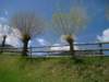 dsc06682_small.jpg