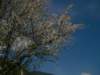 dsc06683_small.jpg
