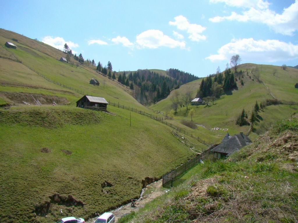 dsc06686.jpg