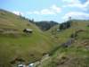 dsc06686_small.jpg