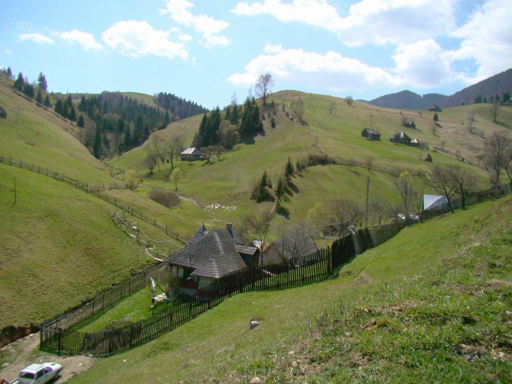 dsc06687.jpg