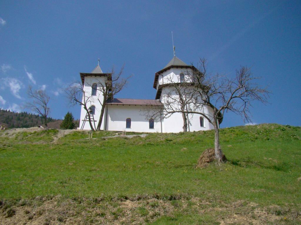 dsc06688.jpg