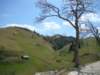 dsc06692_small.jpg