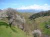 dsc06694_small.jpg