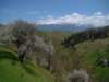 dsc06695_small.jpg