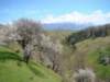 dsc06698_small.jpg
