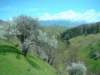 dsc06699_small.jpg