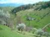 dsc06700_small.jpg