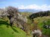 dsc06701_small.jpg