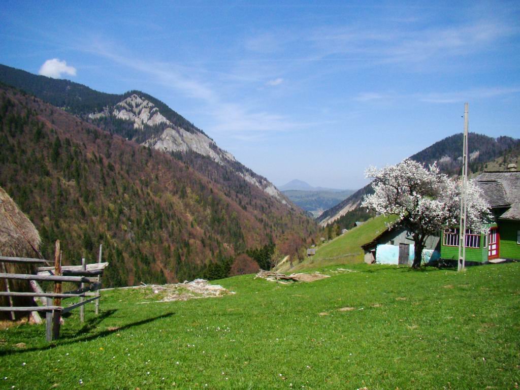 dsc06703.jpg
