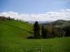dsc06704_small.jpg