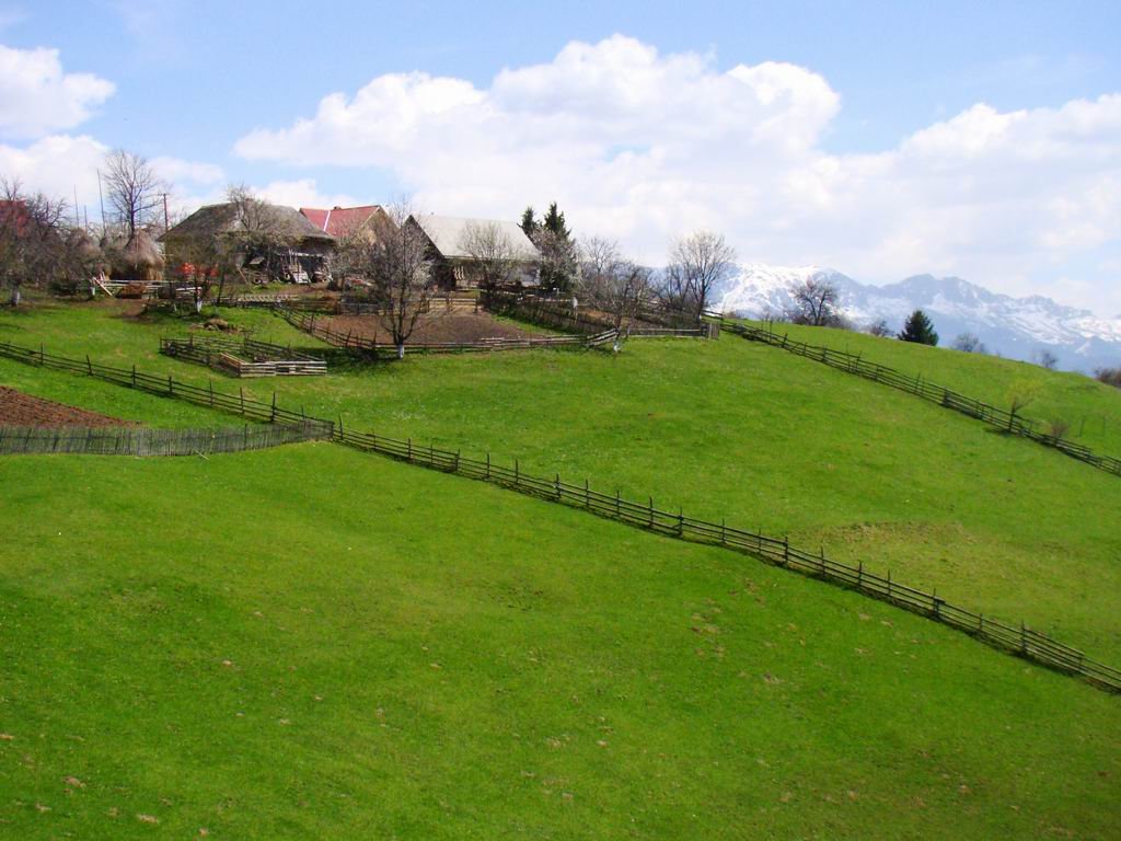 dsc06705.jpg