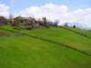 dsc06705_small.jpg