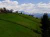 dsc06706_small.jpg